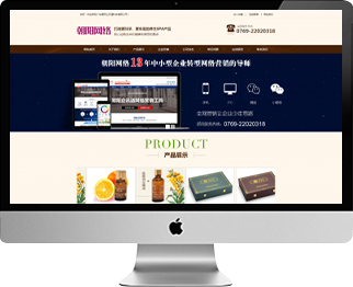 速成型網(wǎng)站標準版1